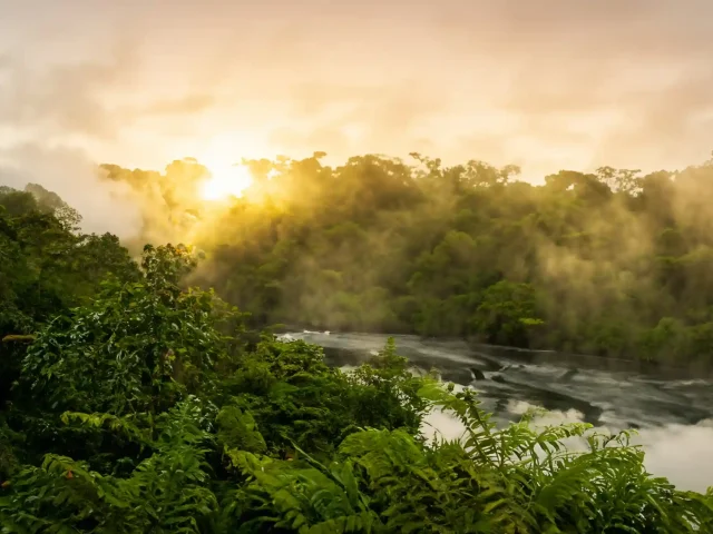 How Amazon Friajes Drop Temperatures Overnight