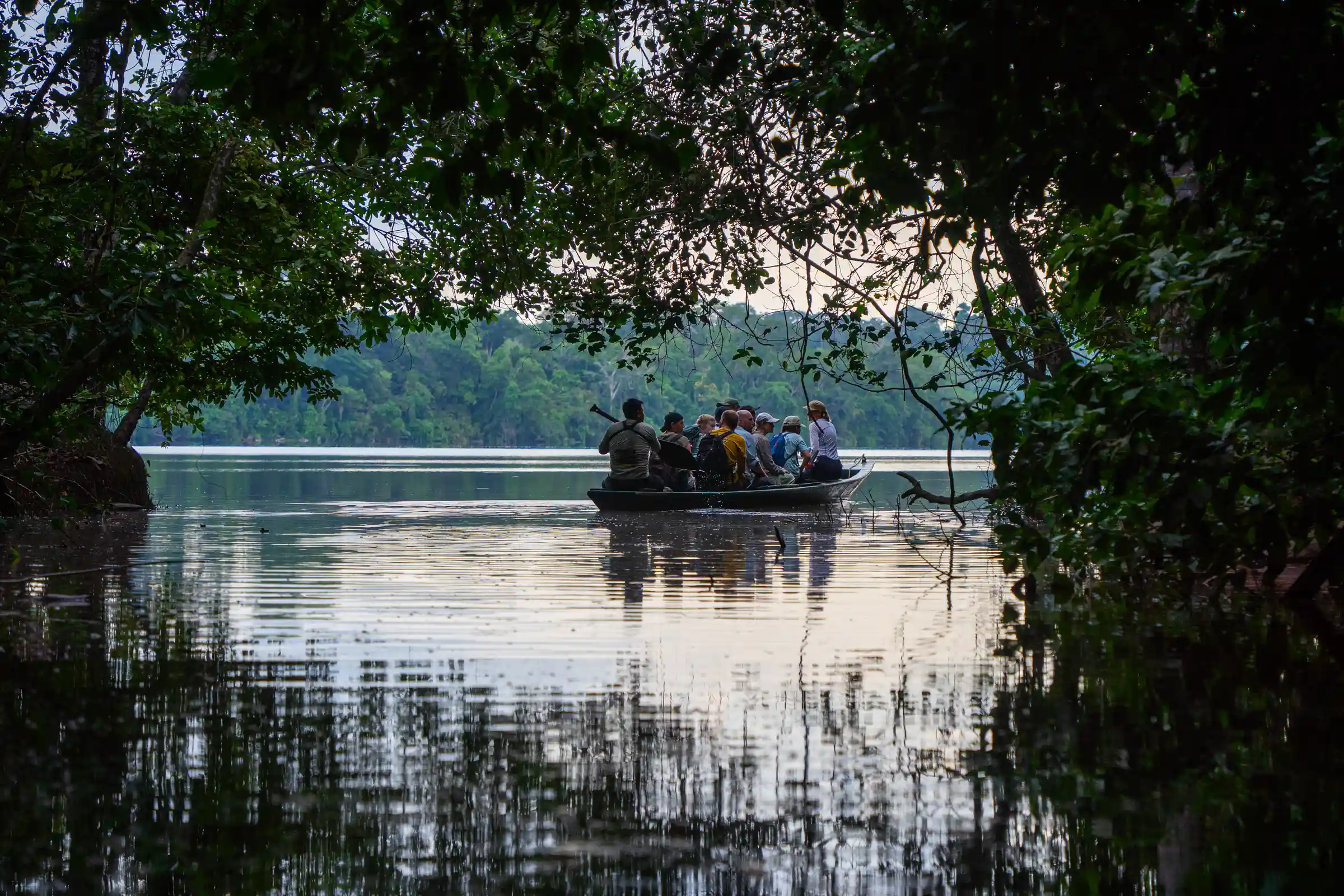 Tambopata Tours
