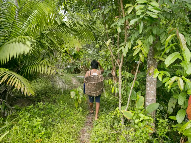 Authentic Amazonian Cuisine on Expeditions