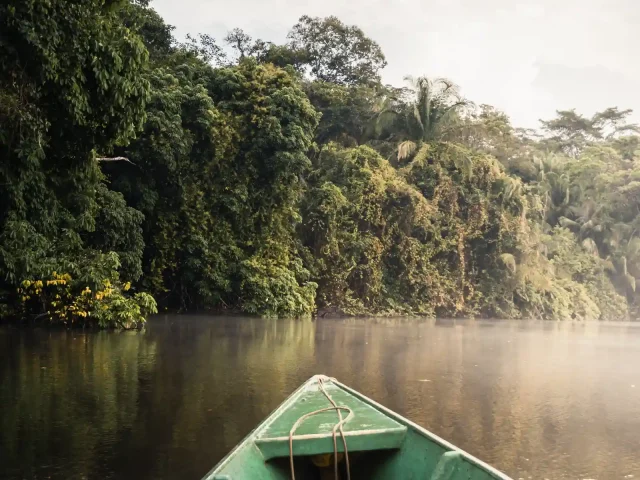 Why You Should Never Wear Cotton in the Jungle