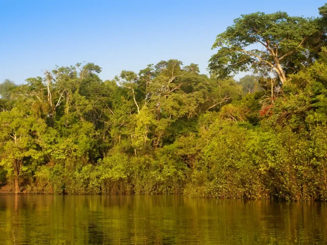 Boca Manu - Alto Madre de Dios River - Rainforest Bio-Station
