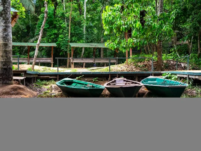 Manatee Rescue Center - Iquitos Boulevard - Airport Drop-off